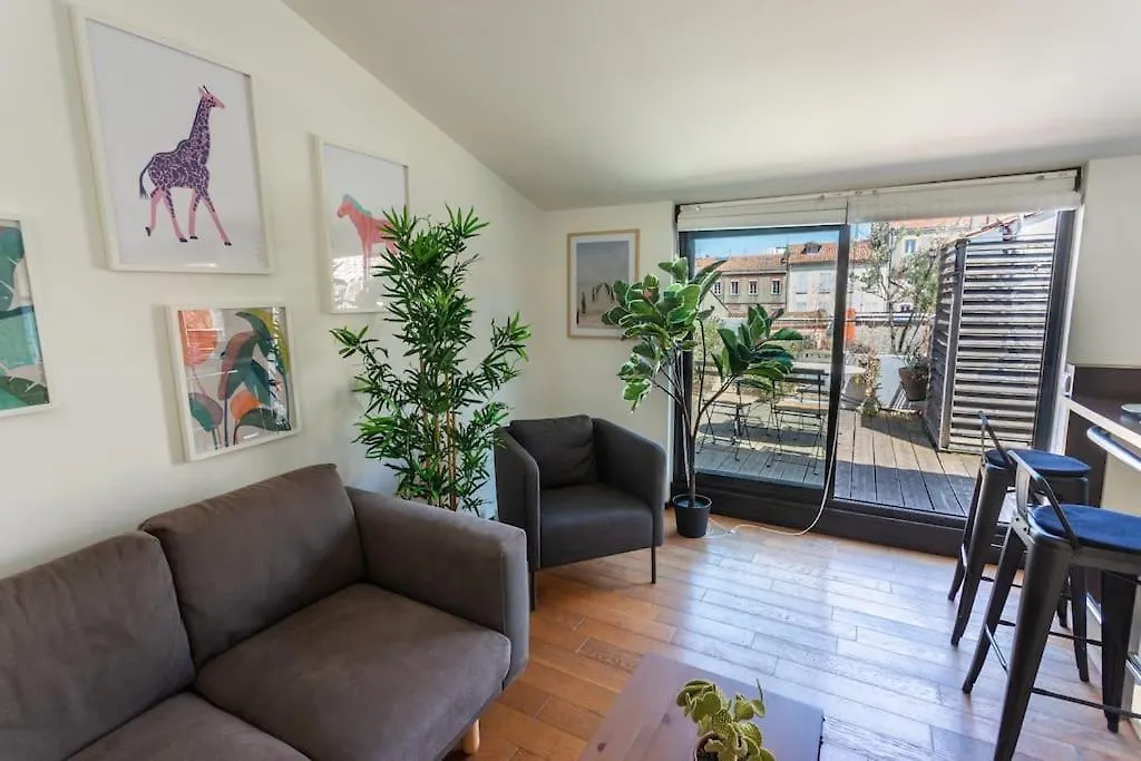 Apartment Roof Top In Center Of Toulouse-Free Parking-