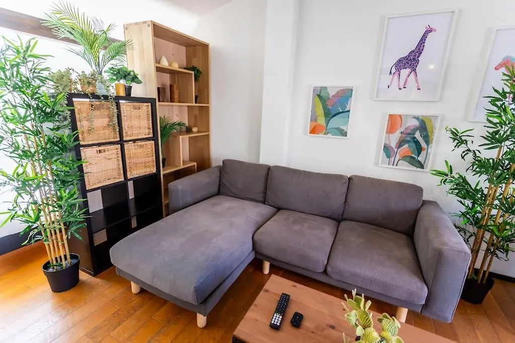 Apartment Roof Top In Center Of Toulouse-Free Parking-