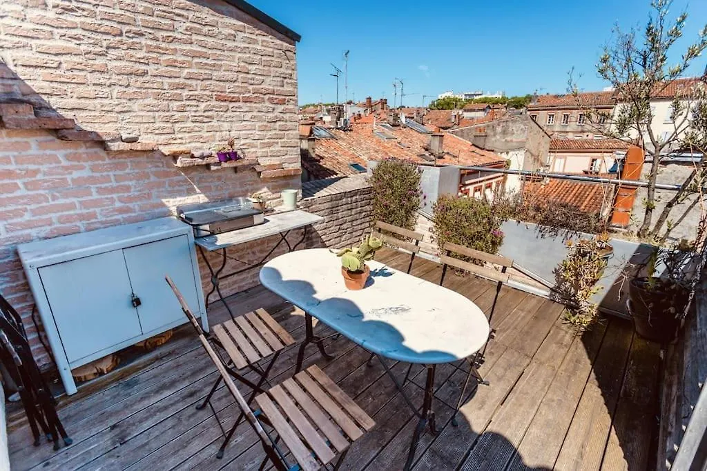 Apartment Roof Top In Center Of Toulouse-Free Parking- France